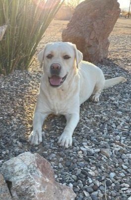 Ella, retired Cozy Acres parent
