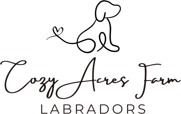 Cozy Acres Farm Labradors